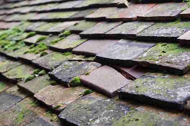Why Climbing on Your Roof During a Leak Can Be Dangerous